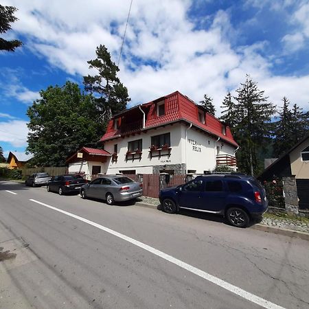 Vila Felix Hotel Sinaia Exterior photo