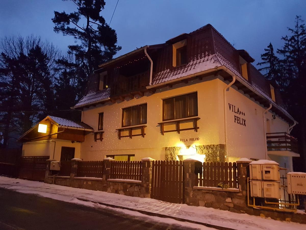 Vila Felix Hotel Sinaia Exterior photo